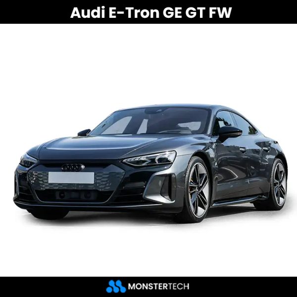 E-Tron GE GT FW